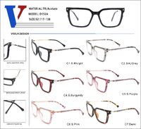 Plastic acetate TR90 + metall frame with spring hinges D1524-DA