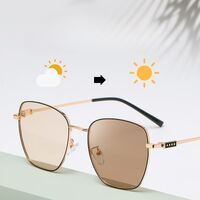 Photochromic glasses with blue light and UV protection 9656-2-GT