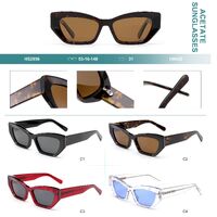 Polarized acetate plastic sunglasses Big City HS2856