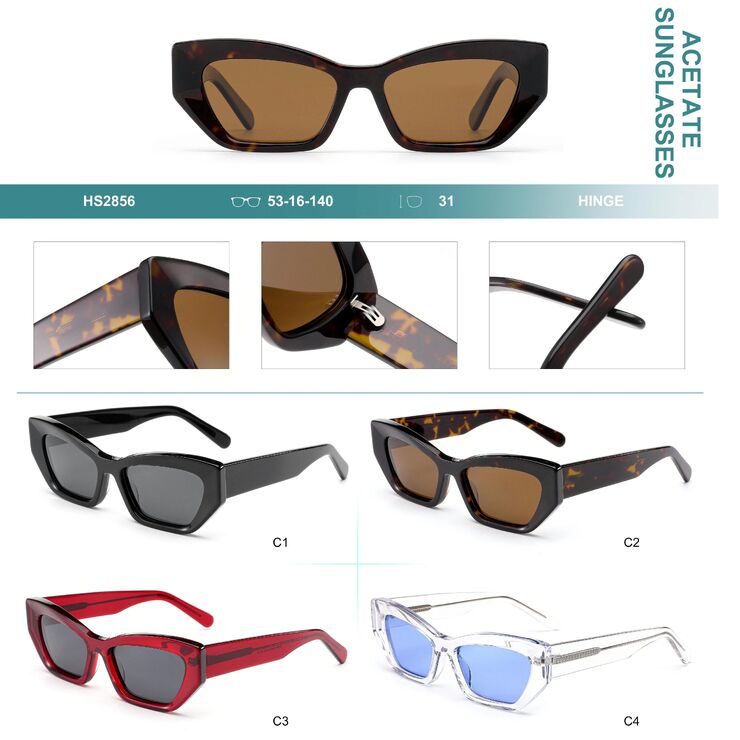 Polarized acetate plastic sunglasses Big City HS2856