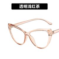Plastic glasses with blue light protection for women 2495-PN