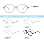 Plastic acetate eyeglasses frame with spring hinges WD1562