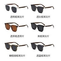 Plastic polarized sunglasses Elit ZT-10057-EL