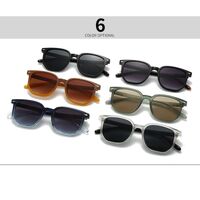 Plastic retro sunglasses Elit 6089-EL