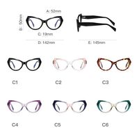 Plastic TR90 frames for glasses with Blue Ray Cut protection and flex hinges FOCUS FCS2163