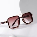 Plastic + metal retro sunglasses Elit ZTT035-EL