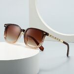 Plastic + metal retro square sunglasses for men Elit 6089-1-EL