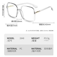 Photochromic glasses with blue light and UV protection 2848-GT