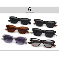 Plastic sunglasses with anti-blue light protection Elit 6015-EL