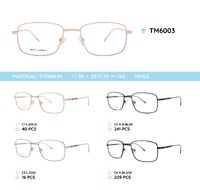 Оправа металлическая титановая TM6003