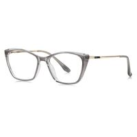 Plastic TR90 frame for glasses with UV protection More LS208