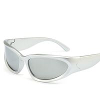 Polarized plastic sunglasses with UV400 protection 2972-GT