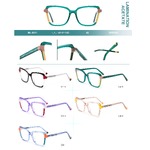 Plastic frames for glasses, acetate lamination with spring hinges Big City BL-2811