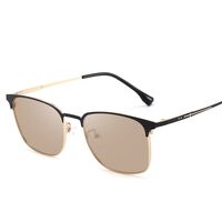 Photochromic glasses with blue light and UV protection 9677-GT