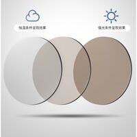 Очки металлические фотохромные с защитой от синего света 9659-GT