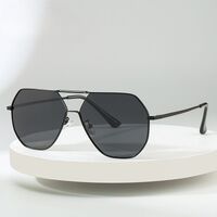 Polarized metal sunglasses with UV400 protection 2967-GT