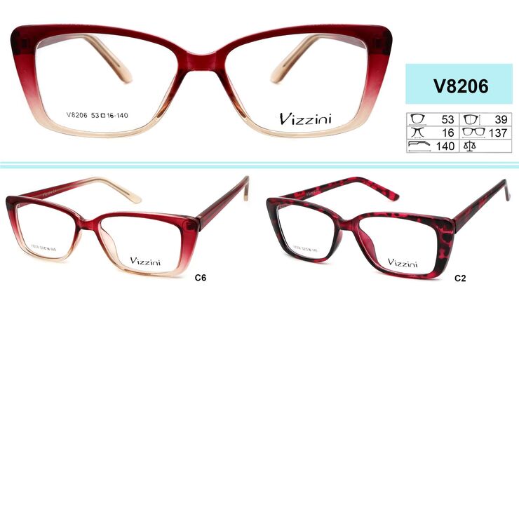 Frames plastic eyeglass VIZZINI V8206