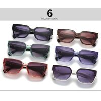 Plastic sunglasses for women Elit 2321-EL