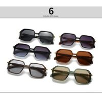 Plastic square sunglasses for men Elit 6088-EL