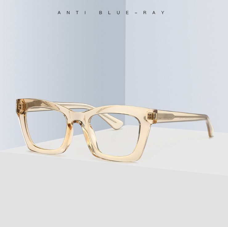 Plastic frames for glasses TR90+CA material (flex hinges) FOCUS FCS2016