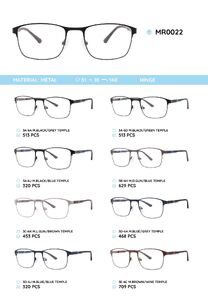 Металлическая оправа с дужками из материала TR-90 MR0022