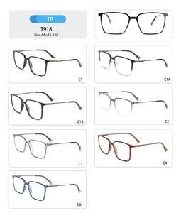 Оправа пластиковая из TR90 женская с флексом T918-DA