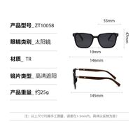 Plastic polarized sunglasses Elit ZT-10058-EL