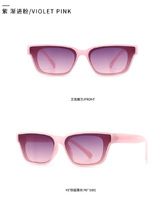 Sunglasses Elit modern 902