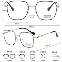 Metal frame with Blue Ray Cut protection lenses MAMO B26006