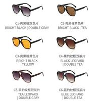 Polarized plastic sunglasses with UV400 protection 2941-2-GT