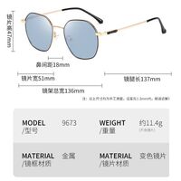 Photochromic glasses with blue light and UV protection 9673-GT