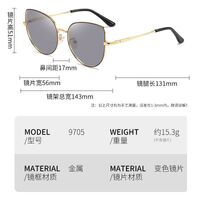 Photochromic glasses with blue light and UV protection 9705-GT