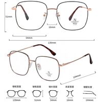 Оправа металлическая с линзами Blue Ray Cut MAMO 8723