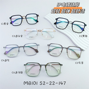 Titanium frame SANTA M8101