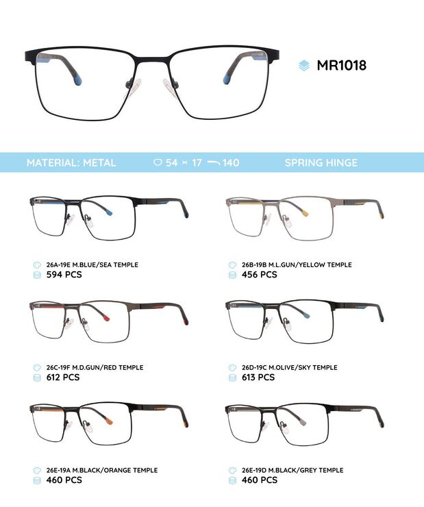 Металлическая оправа с дужками из материала TR-90 со встроенным флексом MR1018