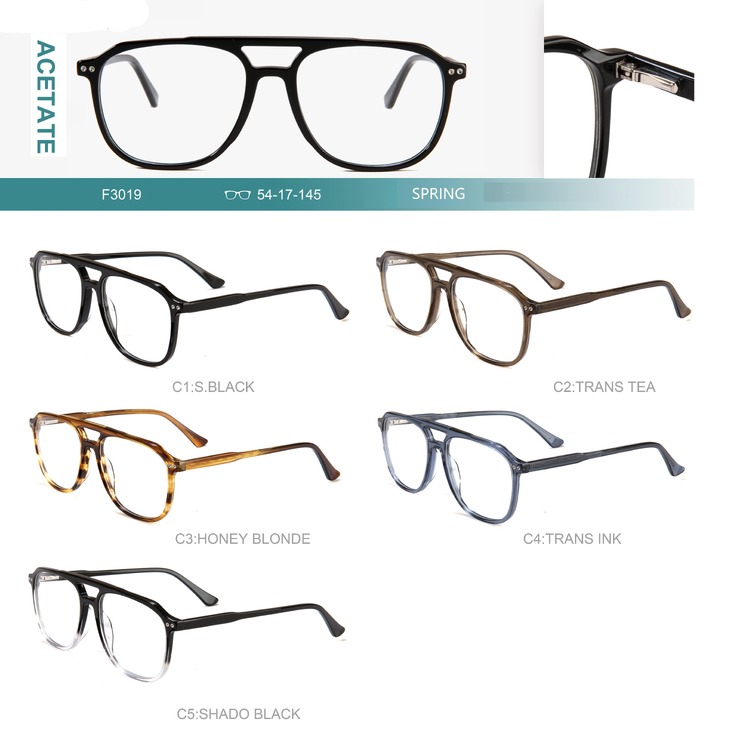 Acetate plastic frames for glasses with spring hinges Big City F3019