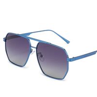 Polarized metal sunglasses with UV400 protection 2965-GT