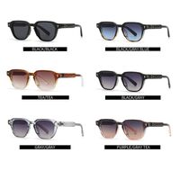 Plastic sunglasses Elit 3406-EL