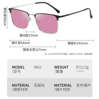 Photochromic glasses with blue light and UV protection 9661-GT