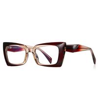 Plastic TR90 frames for glasses with Blue Ray Cut protection and flex hinges FOCUS FCS2164