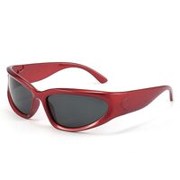 Polarized plastic sunglasses with UV400 protection 2972-GT