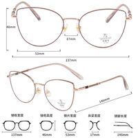 Metal frame with Blue Ray Cut protection lenses MAMO F93029
