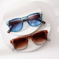 Plastic + metal square sunglasses for men Elit 3202-EL