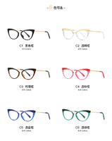 Plastic frames for glasses TR90+CA material (flex hinges) FOCUS FCS2064