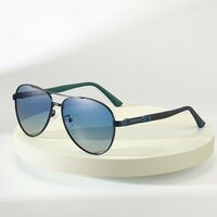 Polarized metal sunglasses with UV400 protection 2956-2-GT