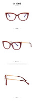 Plastic frames for glasses TR90+CA material (flex hinges) FOCUS FCS2049