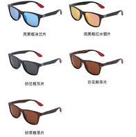 Polarized sunglasses W4195