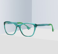 Plastic frames for glasses TR90+CA material (flex hinges) FOCUS FCS2045
