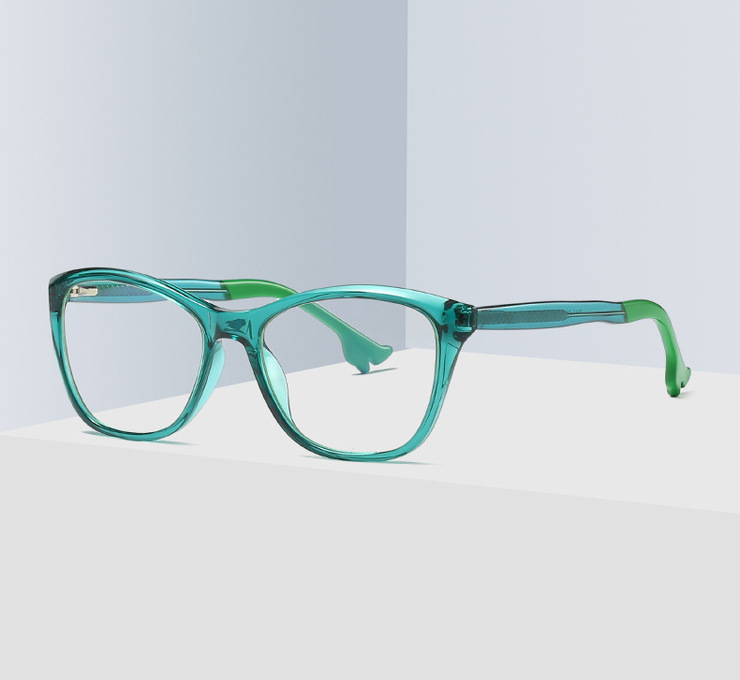 Plastic frames for glasses TR90+CA material (flex hinges) FOCUS FCS2045