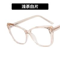 Plastic glasses with blue light protection for women 2001-TR5007-PN